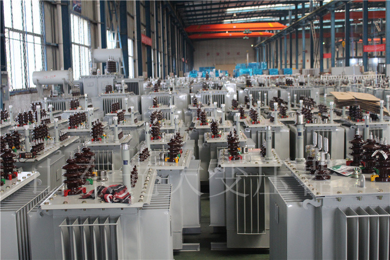 赞皇S22-800KVA/10KV